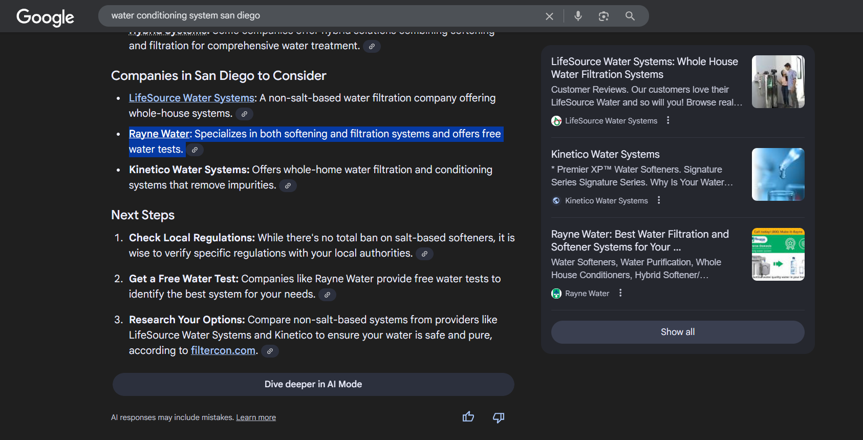 Google search result showing local companies in San Diego, highlighting Rayne Water’s services, used to demonstrate seo return on investment through local visibility.