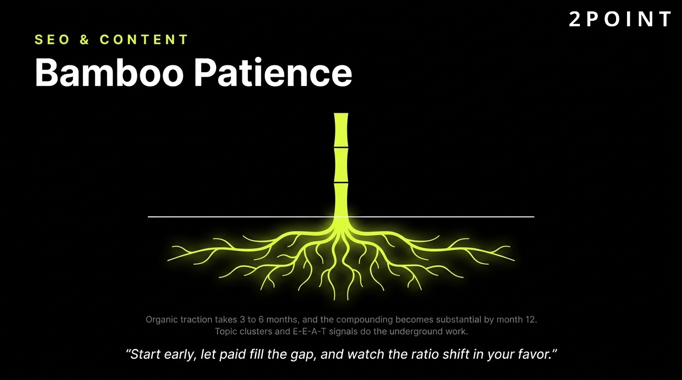 SEO and content marketing rewards bamboo-style patience: slow growth, then rapid compounding.
