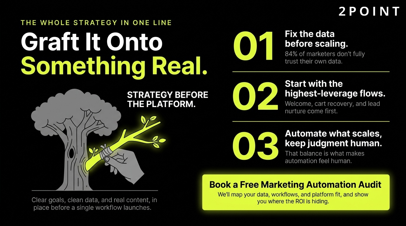 Marketing automation CTA: graft it onto something real, build automation on a genuine strategic foundation with 2POINT.