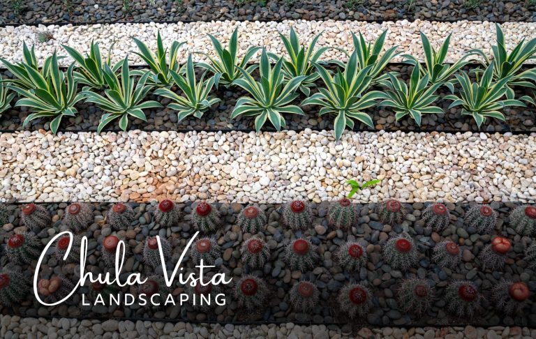 Chula Vista