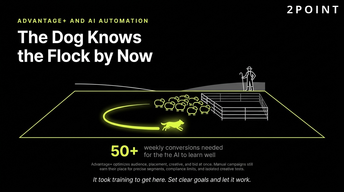 Advantage+ and AI automation in Facebook ads: the dog knows the flock by now, let it work.