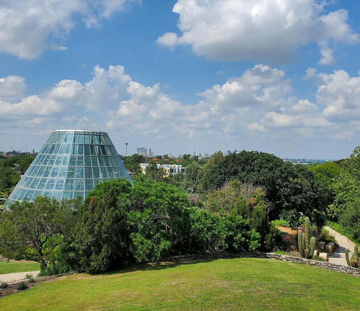 View toward downtown from the highest point in the San Antonio Botanical Garden